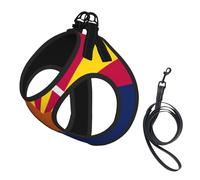 Arizona state flag Print Dog Harness and Leash Set,Breathable Adjustable Escape Proof Vest for Cats Dogs