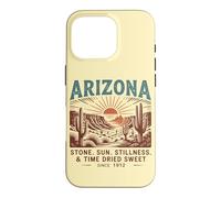 Arizona Stone. Sun. Stillness. & Time Dried Sweet Since 1912 Case for iPhone 16 Pro