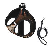 Arizona Wild Horses5 No Pull Dog Harness and Leash Set, Cute Reflective Adjustable Vest for Small Dogs,Breathable Mesh Puppy Harness for Walking Hiking,Medium