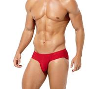Arjen Kroos Men's Ice Silk Briefs Underwear Sexy Mesh Pouch Underpants Silky Touch Pants Low Rise Breathable Slips with Soft Stretch Waistband,Red,XXL