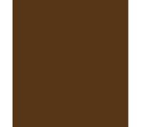 ARK A4 240gsm Colored Card Stock Pack of 10 Sheets (Brown)