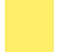ARK A4 240gsm Colored Card Stock Pack of 10 Sheets (Daffodil Yellow)