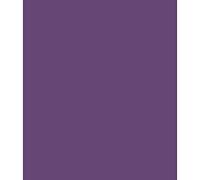 ARK A4 240gsm Colored Card Stock Pack of 10 Sheets (Purple)