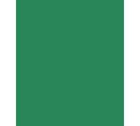 ARK A4 240gsm Colored Card Stock Pack of 10 Sheets (Xmas Green)
