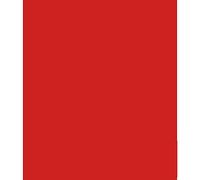 ARK A4 240gsm Colored Card Stock Pack of 10 Sheets (Xmas Red)