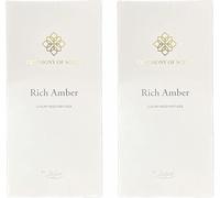 ark future Ceremony of Scent Luxury Reed Diffuser - Premium Long-Lasting Fragrance for Home, Office & Gifts | 100mL×2 [TWIN PACK] (Rich Amber)