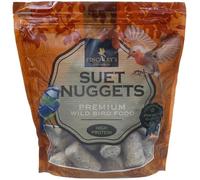 ark future Finchley's Suet Nuggets Wild Bird Food 1kg - High Energy Feed with Mealworms - Premium Suet Treats for Year-Round Feeding