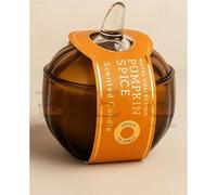 Ark Future Hotel Collection Pumpkin Spice Scented Candle | Long Lasting Soy Wax Candle with Autumn Touch | Relaxing Aromatherapy Gift for Living Room, Bedroom