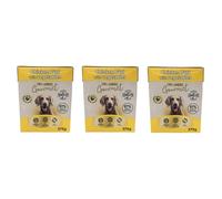 Ark Future Orlando Gourmet Dog Pâté with Vegetables 375g Each | Complete Wet Food for Adult Dogs | 97% Animal Protein | Supports Digestion & Balanced Nutrition | Grain-Free (Chicken)