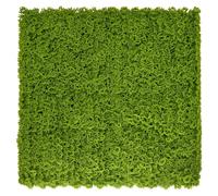 Ark Mat Moss Artificial Plant Wall Panel 1x1m - Indoor & Outdoor Use in Green Ark Mat Green