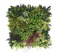 Ark Mat Purple Strand Artificial Plant Wall Panel 50x50cm - Indoor & Outdoor in Green | Size: 50x50 cm Ark Mat Green 50x50 cm