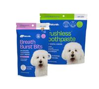 Ark Naturals Small Breed Soft Brushless Toothpaste + Breath Bursts Bundle - Vet Formulated Dog Dental Chews for Small Breeds - Helps Reduce Plaque & Tartar, Polishes Teeth, and Freshens Breath