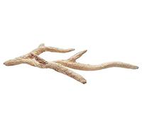 ARKA - Reef ceramic reef ast natural - made from 100% natural raw materials, free from harmful substances, very high porosity, made in Germany, (30 cm)