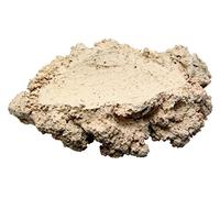 ARKA - Reef ceramic shell holder, made from 100% natural raw materials, free from harmful substances, very high porosity, made in Germany, (L)