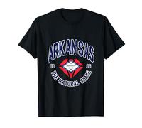 Arkansas State Flag Emblem The Nature State Vintage Travel T-Shirt