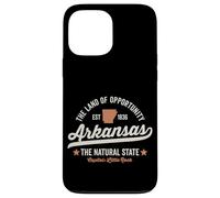 Arkansas Vintage Sports Design Natural State Light Text Case for iPhone 13 Pro Max