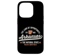 Arkansas Vintage Sports Design Natural State Light Text Case for iPhone 14 Pro