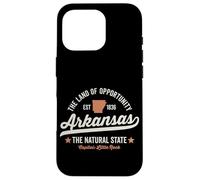 Arkansas Vintage Sports Design Natural State Light Text Case for iPhone 16 Pro