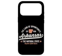 Arkansas Vintage Sports Design Natural State Light Text Case for iPhone 17 Pro Max