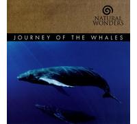 Arkenstone, David - Journey of the Whales