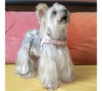 ARKIKA Luxury Leash & Harness with Diamond | Color: Blue | Style: Leads | Size: Universe