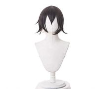 Arknights Courier Wig Cosplay Costume Short Gradient Heat-resistant Fiber Hair Perucas Anime Wigs for Halloween Carnival Party KUZW60845