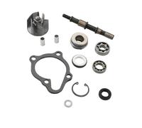 ARLEO Water Pump Repair Kit For K//y//m//c//o X-C//i//t//i//n//g P//e//o//p//l//e M//x//u300 M//a//x//x//e//r 300 G-D//i//n//k 300cc 4T ATV 100110460