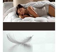 ARLINEN Warm & Cosy King Size 13.5 Tog Winter Duvet Premium Quality Duck Feather & Down Duvet 100% Cotton Anti Dust Mite & Down Proof Fabric Anti Allergen in (King, 220X230cm)