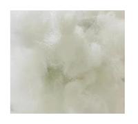 ARLINENS 1KG Holllow Fibre Stuffing,Cushion Stuffing Hollowfibre Polyester Stuffing/Soft, Lightweight Filling for Dolls, Crochet, Knitted Toys/Hypoallergenic