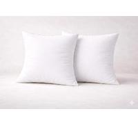 ARLINENS Cushion Inner Pads Insert Square/rectangular Decorative Pillow Virgin Hollow Fibre Filled Bounce Back Cushions Stuffer for Sofa Bed & Couch in 14,16",18",20",22",24",26" (2, 24x24)