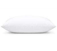 ARLINENS Cushion Pads inner Insert Square/rectangular Decorative Pillow Virgin Hollow Fibre Filled Bounce Back Cushions Stuffer for Sofa Bed & Couch in (1, 22x22)