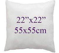 ARLINENS Duck Feather & Down Cushion Pads Size 22"x22"