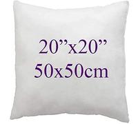 ARLINENS Hollow Fiber Cushion Pads,Inners,Insert,Fillers Stuffer Pillow Hypoallergenic Square Cushion for Sofa & Bed (Pack of 1, 20x20)