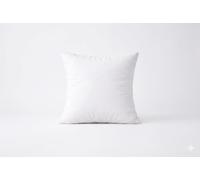 ARLINENS Hollow Fiber Cushion Pads White polyster square Cushions,Inners,Fillers (Pack of 3, 16"x16")