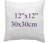 ARLINENS Hollow fibre Cushion New White Pads Inner insert Stuffer Pillow Hypoallergenic Square Cushions for Sofa Bed & Couch in 12", 14", 16", 18", 20", 22", 24", 26", 28", 30" (2, 12x12)