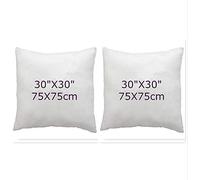 ARLINENS Hollow fibre Cushion New White Pads Inner insert Stuffer Pillow Hypoallergenic Square Cushions for Sofa Bed & Couch in 12", 14", 16", 18", 20", 22", 24", 26", 28", 30" (2, 30x30)