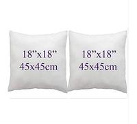 ARLINENS Hollow fibre Cushion New White Pads Inner insert Stuffer Pillow Hypoallergenic Square Cushions for Sofa Bed & Couch in 12", 14", 16", 18", 20", 22", 24", 26", 28", 30" (2, 18x18)