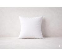 ARLINENS Hollow Fibre Cushion Pads New White Inner Insert Stuffer Pillow Hypoallergenic Square Cushions for Sofa Bed & Couch (1, 28x28)