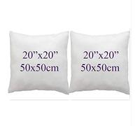 ARLINENS Pack of 2 Duck Feather & Down Cushion Pad Inner Insert -100% Natural Cotton Anti Dust Mite and Down Proof Cushion Pads Cover/Non Allergenic (20x20)