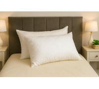 ARLINENS Pillows 2 Pack Hotel Quality Extra Soft Filling Hollow Fiber Filled Quilted Pillows-Bounce Back Bed Pillows- For Side, Stomach And Back Sleeper Anti Allergy Pillow Standard Size 74cm x 48cm