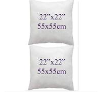ARLINENS Set of 2 Cushion Pads Hollow Fiber Filled White Polyester Cushions - Fillers Inserts Sofa Throw Couch Cushions Hypoallergenic Bounce Back Square Cushion Pads (22x22(55x55cm))