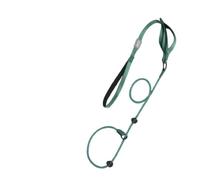 Arlinens Slip Lead For Dogs,Collar Dog Training Lead,1.6m Lightweight & Durable Nylon Slip Leads, Easy to Slip On,with Double Handle Heavy Duty Dog Leash, No Pull Puppy Walking Leash (Green)