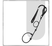 Arlinens Slip Lead For Dogs,Collar Dog Training Lead,1.6m Lightweight & Durable Nylon Slip Leads, Easy to Slip On,with Double Handle Heavy Duty Dog Leash, No Pull Puppy Walking Leash (Black)