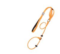 Arlinens Slip Lead For Dogs,Collar Dog Training Lead,1.6m Lightweight & Durable Nylon Slip Leads, Easy to Slip On,with Double Handle Heavy Duty Dog Leash, No Pull Puppy Walking Leash (Orange)