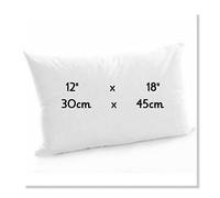 ARLINENS Soft Bouncy Rectangle Oblong Hollow Fibre Plump Scatter Pillows-Double Stitched Edges-Inners Inserts Fillers Pads for Sofa Bed & Couch (1, 12x18)