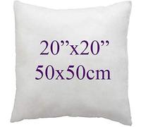 ARLINENS Super Soft white Duck Feather Cushion pads Inners, Inserts, Fillers, 100% Cotton Down Proof Cover, Hypoallergenic, (20"x20")