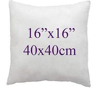 ARLINENS Super Soft white Duck Feather Cushion pads Inners, Inserts, Fillers, 100% Cotton Down Proof Cover, Hypoallergenic, (16"x16")