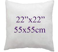 ARLINENS Super Soft white Duck Feather Cushion pads Inners, Inserts, Fillers, 100% Cotton Down Proof Cover, Hypoallergenic, (22"x22")