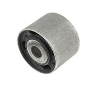 NTY Arm Bushing Differential Mount ZTT-NS-060B – Fits Nissan Pathfinder R51M 04-