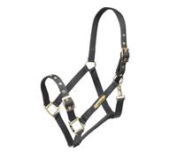 ARMA Adjustable Headcollar - Black - Extra Full